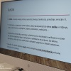 Psihološka radionica 