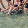 Ljetna rehabilitacija